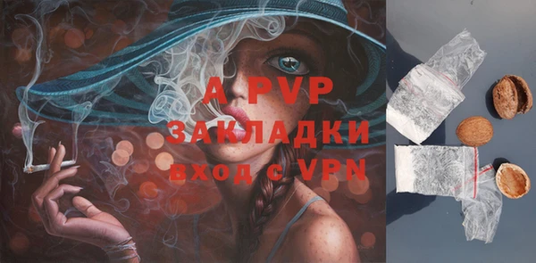 MESCALINE Бородино